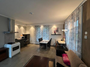 Moderne Studioleilighet - Skien Sentrum